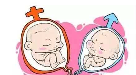 孕妈供卵代怀助孕咨询微信群门诊